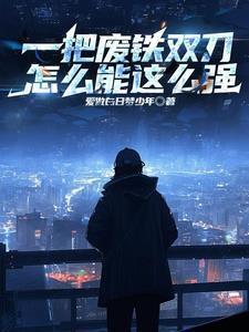 电影双程第二季