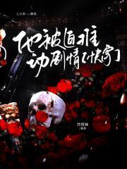 那年华娱笔趣阁无弹窗