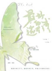 那年华娱是单女主吗