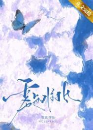 穿越之一品公卿 作者八爷党